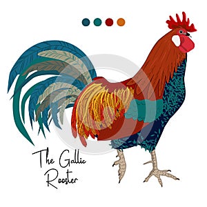 Vector image of gallic rooster