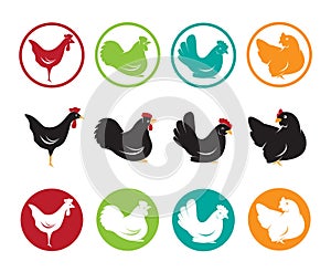 Vector image of an hen design