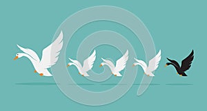 Vector image of a herd of swan