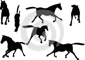 Vector Image - horse silhouette in fast trot pose on white background