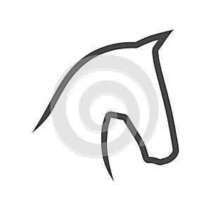 Vector image of an horse on white background