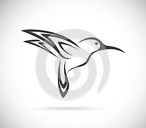 Vector image of an hummingbird design