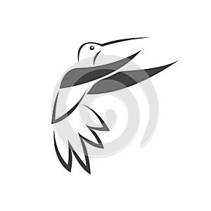 Vector image hummingbird design on white background. icon symbol. Illustrator. Black and White