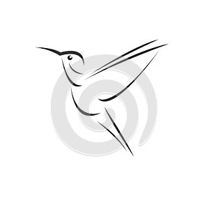 Vector image hummingbird design on white background. icon symbol. Illustrator. Black and White