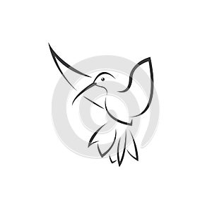 Vector image hummingbird design on white background. icon symbol. Illustrator. Black and White