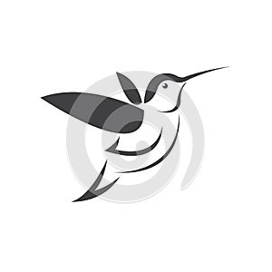 Vector image hummingbird design on white background. icon symbol. Illustrator. Black and White