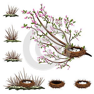Vector image isolated on white background. A bird`s nest in the branches of a bush or tree. Concept. Collection. Set. EPS 10