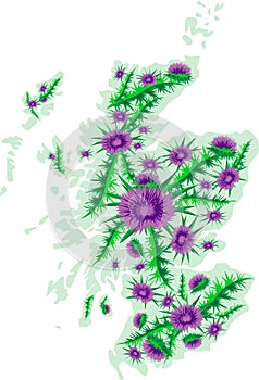 Vector image map of Scotland with thistle flowers
