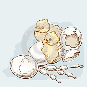 Easter chickens are hatching