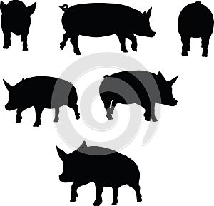 Vector Image, pig silhouette, in a trot position, isolated on white background