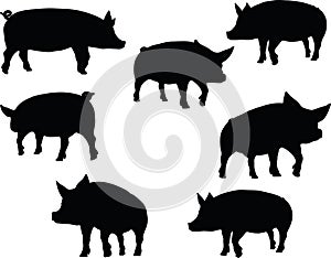 Vector Image, pig silhouette, in a walking position, isolated on white background