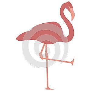 Pink Flamingo With One Leg Up