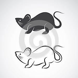 Vector image of an rat design
