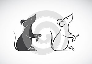 Vector image of an rat design