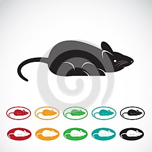 Vector image of an rat