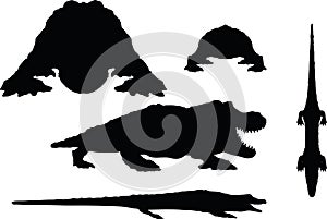 Vector Image - reptiles alligator silhouette on white background