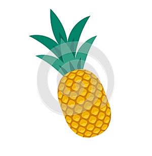 Vector image of the ripe pineapple with the green leaves isolated on the white background.