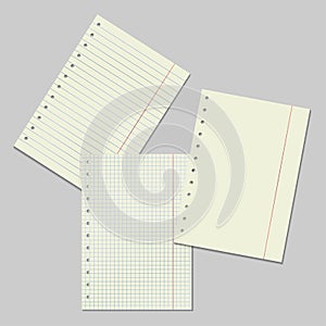 Vector image set of checkered and line sheets of paper on gray background. Realistically scattered sheets from a notebook. Layers