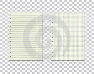 Vector image set of checkered and line sheets of paper on transparent background. Realistic sheets from a notebook. Layers grouped