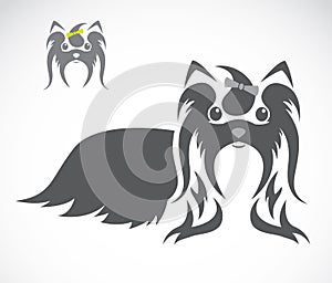 Vector image of an shih tzu dog