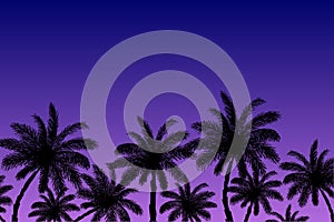 Vector image of silhouettes of palm trees on a background of blue-purple sky at sunset. Summer beach illustration.