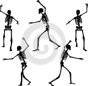 Vector Image - skeleton silhouette in intimidating pose on white background