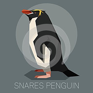 Flat snares penguin