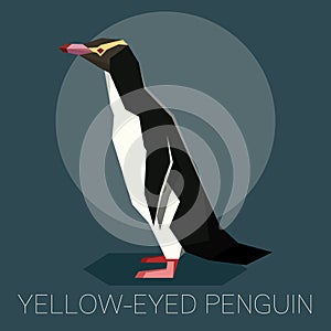 Flat Yellow-eyed penguin