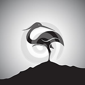 Vector image of an stork