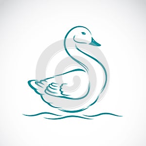 Vector image of swan