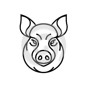 Vector image of swine or pig head