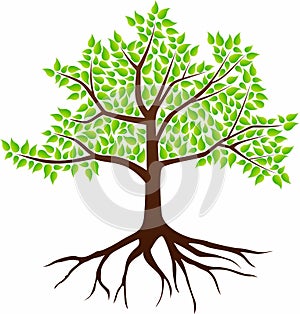 Vector image of a tree on a white background