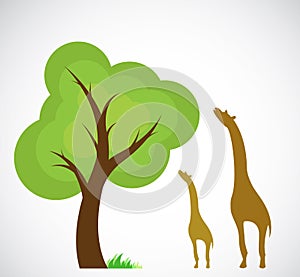 Vector image of trees and giraffes