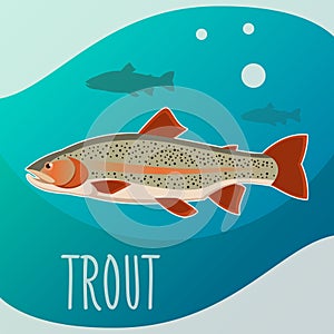 Trout fish banner