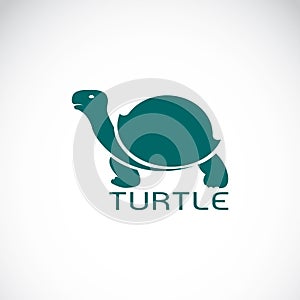 Vector image of an turtle design