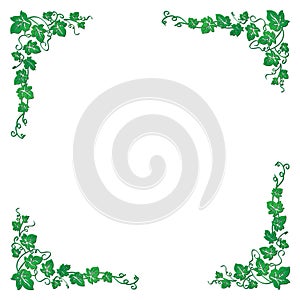 Vector image of a vine with leaves that are well suited for presentations, backgrounds, illustrations.