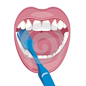 Vector image on a white background. how to brush your teeth rightly with a toothbrush. Healthy, white teeth.