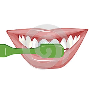 Vector image on a white background. how to brush your teeth rightly with a toothbrush. Healthy, white teeth.