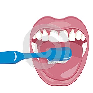 Vector image on a white background. how to brush your teeth rightly with a toothbrush. vector image on a white background.