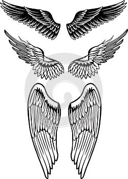 Vector image wings