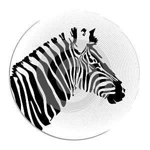 Vector Image of an Zebra Head