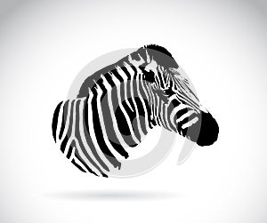 Vector image of an zebra head