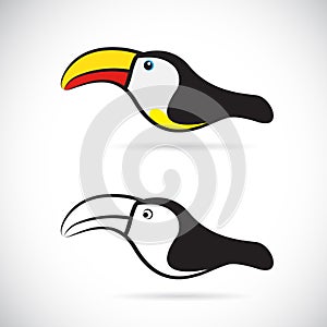 Vector images of hornbills