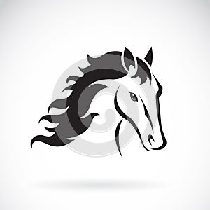 Vector images of horse head design