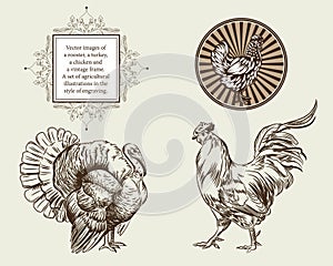 Vector images of a rooster, a turkey, a chicken and a vintage frame.