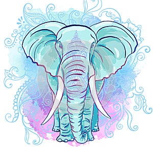 Vector Indian Elephant on the Watercolor Blot