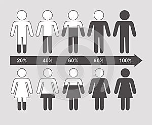 Vector infographic of arrow percentage chart, males and females