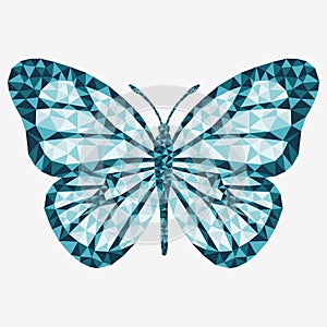 Vector isolated butterfly.