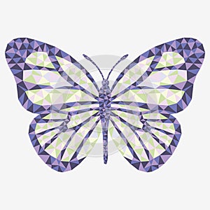 Vector isolated butterfly.