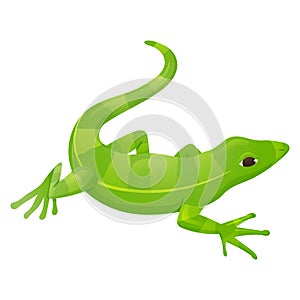Vector isolated cartoon illustration of green striped lizard reptile